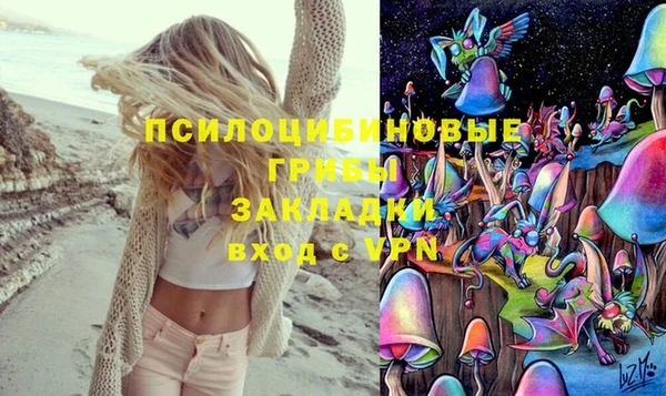 сатива Горно-Алтайск